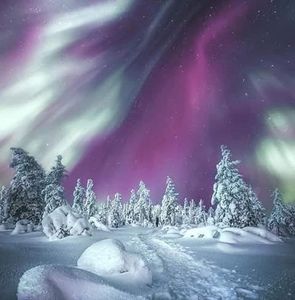 Meet your Posher, Barb